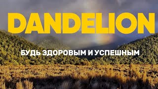 Путеводитель по компании: Все, что вы хотели знать о нас ( Казахстан )