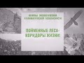 ПОЙМЕННЫЕ ЛЕСА – КОРИДОРЫ ЖИЗНИ!