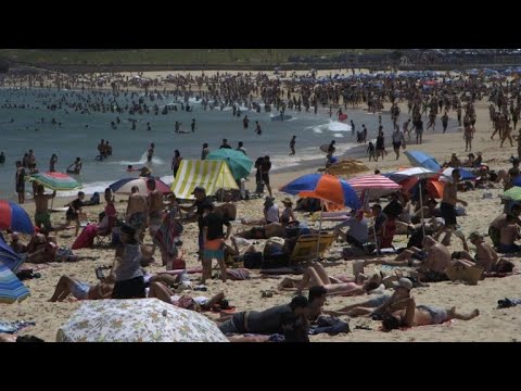 Vídeo: Caballos Muriendo De Sed En La Ola De Calor De Australia