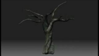 zbrush tree