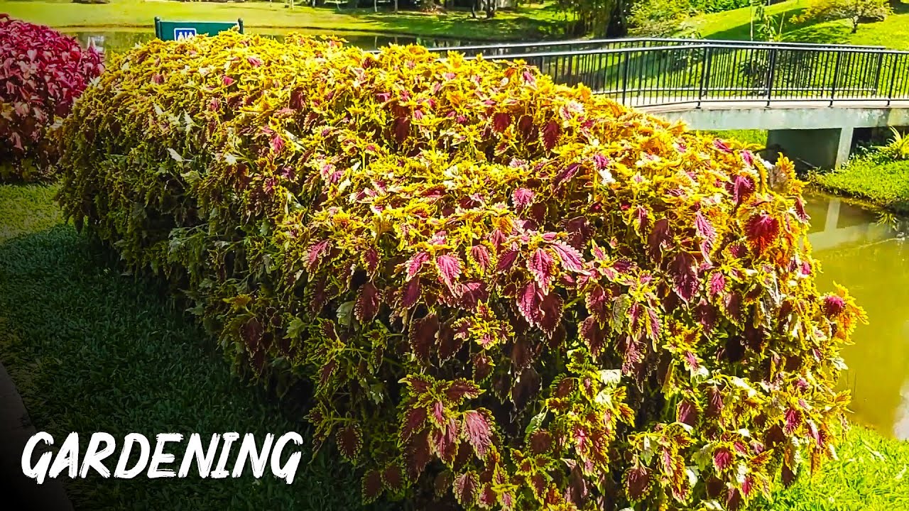 Easy Garden Ideas - YouTube