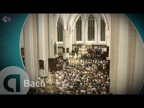 Bach: Hohe Messe - Live Concert HD - Daniel Reuss ...