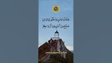 سورة الرعد الآية 22-24 تلاوة الشيخ الأنصاري