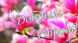 С Добрым Утром !🌼Желаю Самого Доброго Солнечного Утра!🌼  Шикарная Музыкальная Открытка 🌼