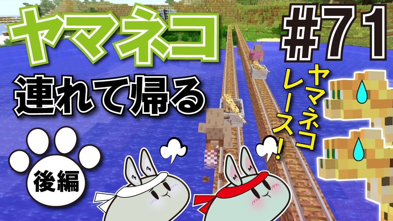 スイッチ版マイクラ 71 ヤマネコレースと村まで帰宅 ヤマネコ連れて帰る後編 Youtube