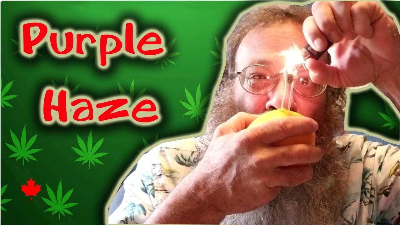 Pot Strains - Purple Haze - Very Relaxing Stone