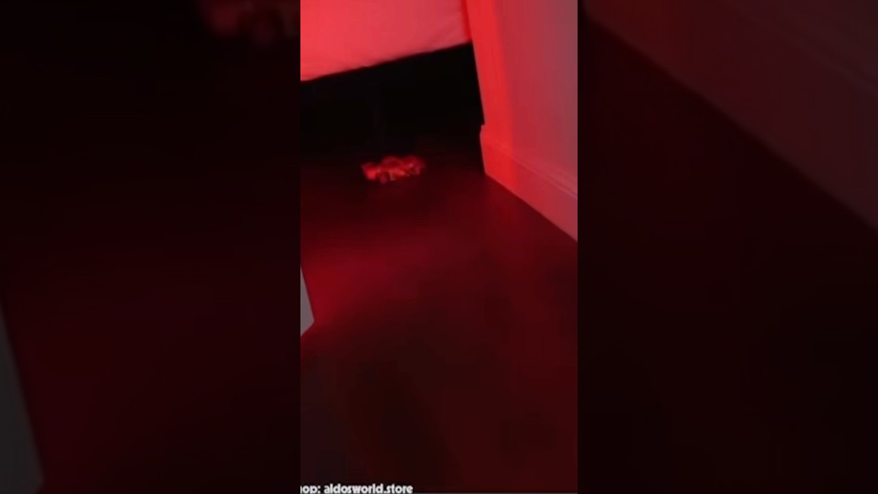 Молния Маккуин приехал ко мне домой в 3 часа ночи! 