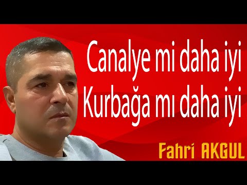 Flurya Kısa Bilgiler 010 - Canalye mi daha iyi, Kurbağa mı daha iyi