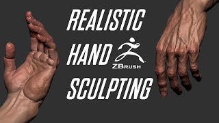 Realistic Hand Sculpting in Zbrush