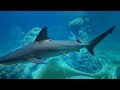 Wycieczka do Wrocławia dzień 3. Wrocławskie Zoo