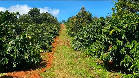 Bán lô đất nhà cửa điện nước đầy đủ nằm ngay dân cư dt:2,9 ha đất triền đẹp ao riêng suối lớn 