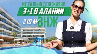 Вариант с ВНЖ и топ-локацией.