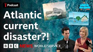 AMOC: Could changing ocean currents affect weather? - What in the World podcast, BBC World Service