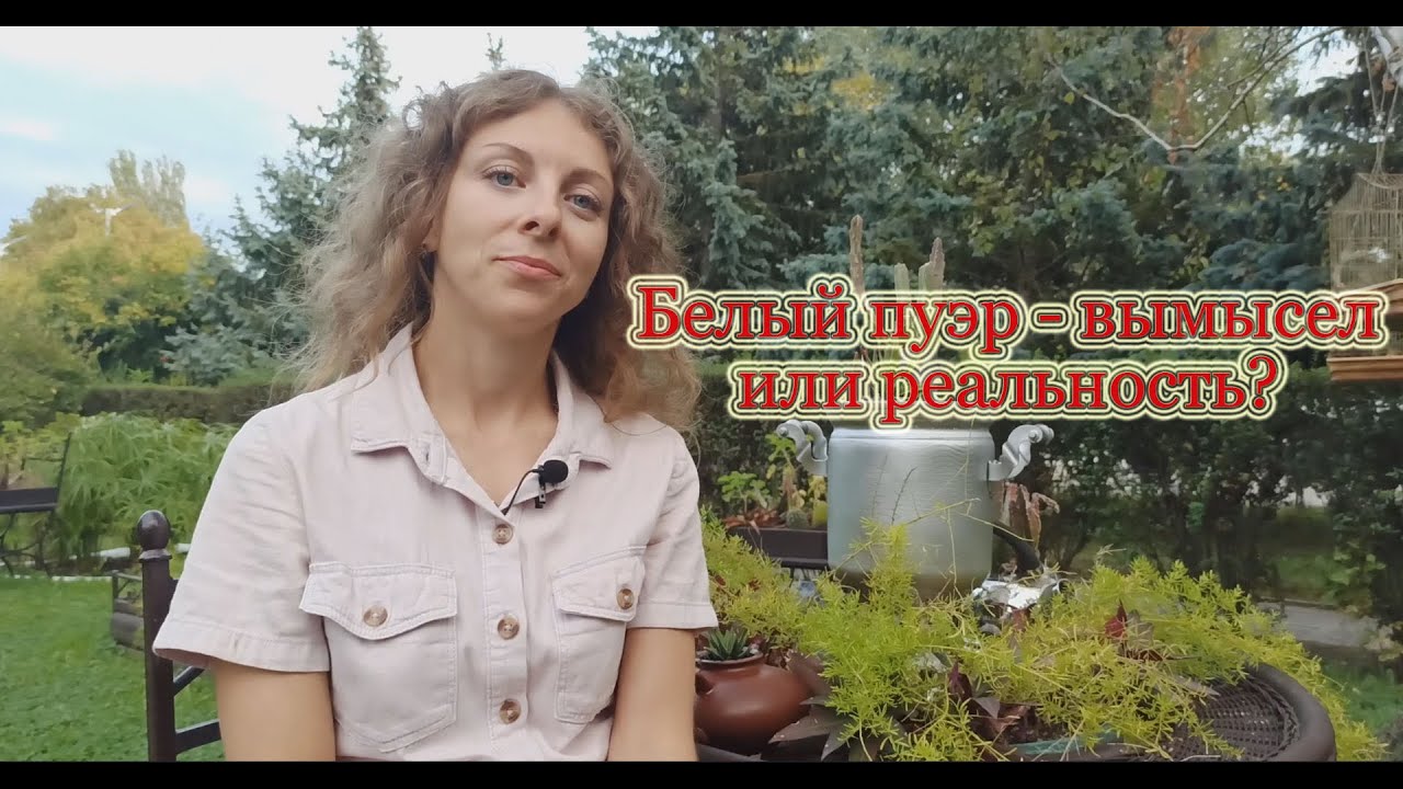 Белый пуэр - вымысел или реальность? - YouTube