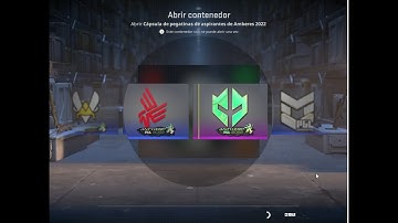 Opening 25 Antwerp 2022 Challengers Sticker Capsule - (Worth It - Ganacias)