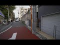 【4K Live】Tokyo Kagurazaka Bakeneko (cat) Festival