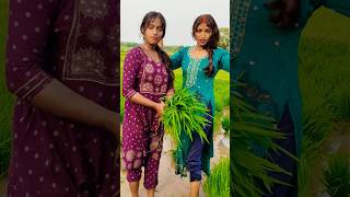 कय हल चल ह उतर परदश Uttar Pradesh Raj Singh