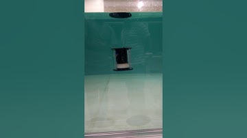 Autonomous Profiling Float