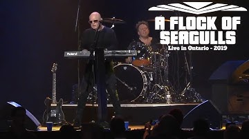 A Flock Of Seagulls - Telecommunication - Live in Ontario 2019 Video HD