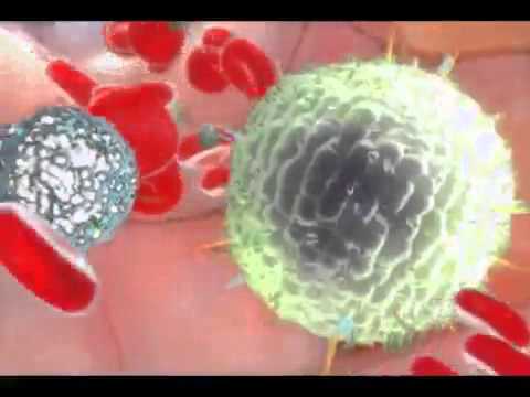 Видео: Циркулирующие опухолевые клетки у пациентов с прогрессирующим немелкоклеточным раком легких связаны с худшим ответом опухоли на ингибиторы контрольной точки