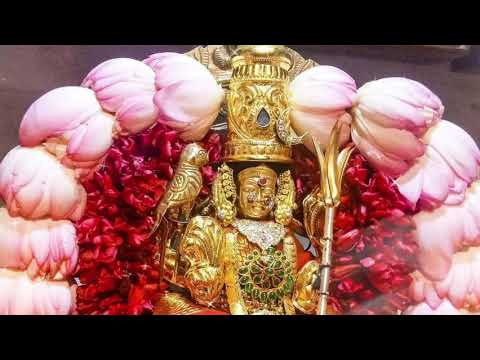  Best  LakshmiDevi  WhatsApp  Status Videos  SriLakshmi  Astalakshmi  VaraLakshmi  Padmavati  Bhakti