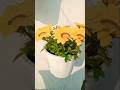 winter heavy flowering plant 💛 ll home gardening l flowers #gardening #trendingshorts #shorts