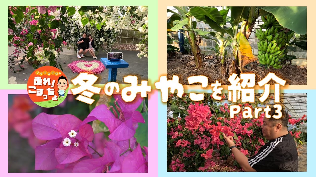 【走れ！こすっちょ】冬の宮古島大満喫SP！映えスポットで新たな恋の予感！？