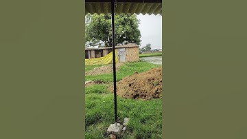 Pro and Noob | Poultry Short | New Poultry Farm