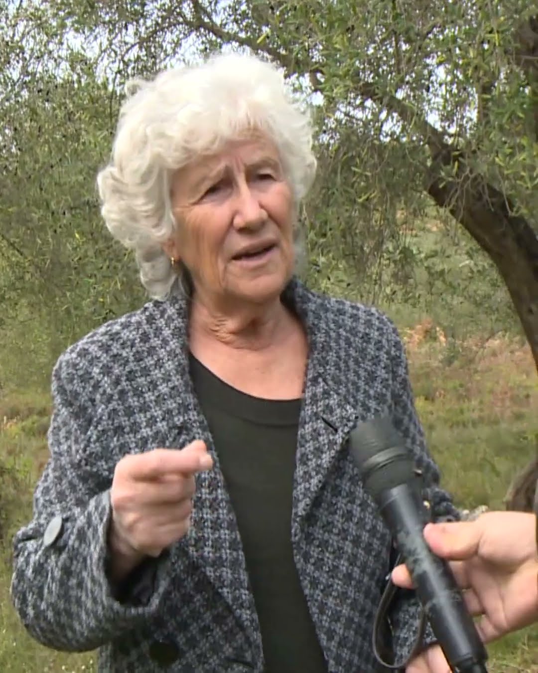 E moshuara: Bollano i Omonias do t’më vjedhë pronën. Familja kërcënon Fiksin - Fiks Fare