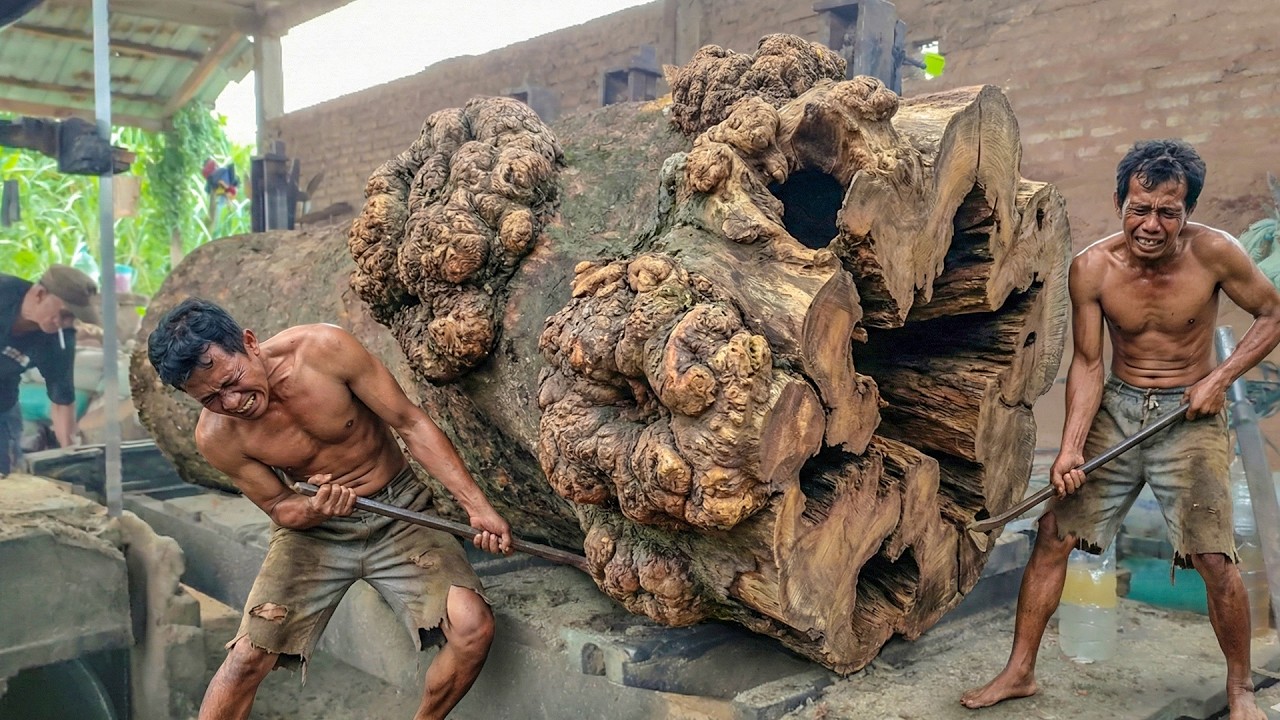Extreme Trembesi Sawmill !! Giant Logs, High Risk, Stunning Wood ...