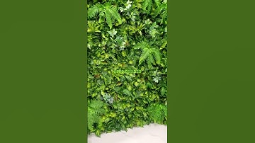 Tường Cây Giả TP HCM