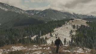 Fly Fishing Willow Creek in Wyoming