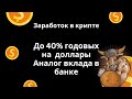 Получайте до 40% годовых на ваши доллары | Вклад на бирже bybit и okx