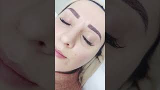 “From Natural to Glam – Eyelash Extension Results”