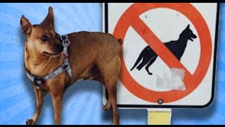 Canımın İstediğini Yaparım Diyenler İçin 30 Fotoğraf