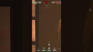 NAVI Filu INSANE 1v2 Flick Clutch in Valorant