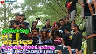 Brewog Gathering Ke 2 Feat Dj Bianca Dan Dj Ayu  Pantai Ngudel