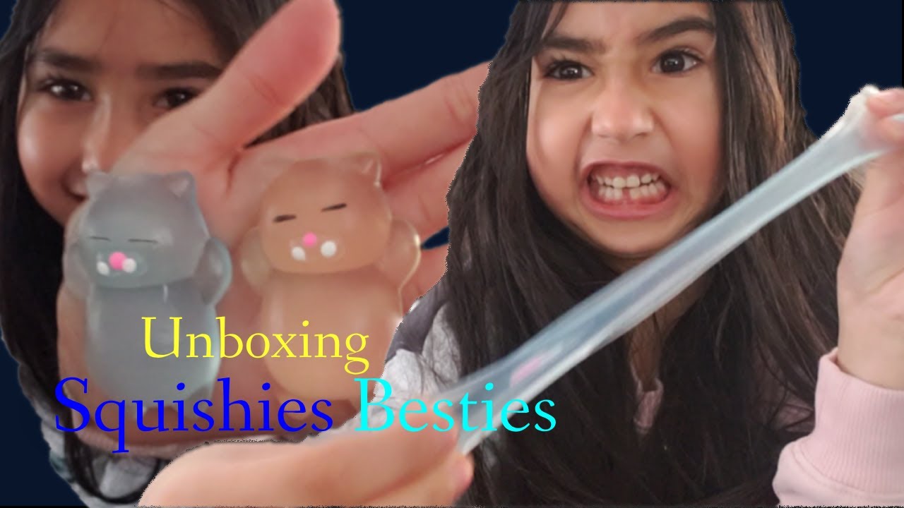 Squishies Besties / Nutty Toys Squishy Cat / Stress Relief Sensory Gift