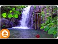 Wind chimes waterfall calming music for stress and relaxing 4k  0096