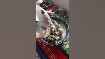 món ốc xào sả ớt ngon quá ăn có bị thục không dây.kkkkkk