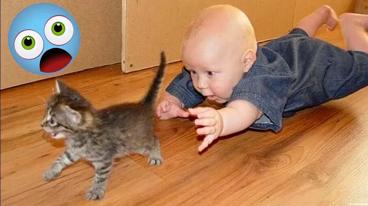 FUNNY CAT MEMES 😺🐶 and MOST TRENDING KITTENS 2023 v153|🔥 Moments of Cute Animal | You Laugh You Lose