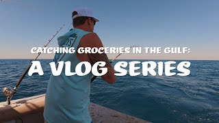 Catching Groceries In The Gulf: A Vlog Series