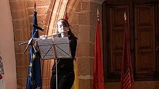 Acto  Institucional  Dia San Felices en Viana(Navarra)