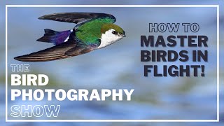 Master BIRDS in FLIGHT Photography! SETTINGS for SUCCESS! Image Stabilisation ON or OFF? screenshot 3
