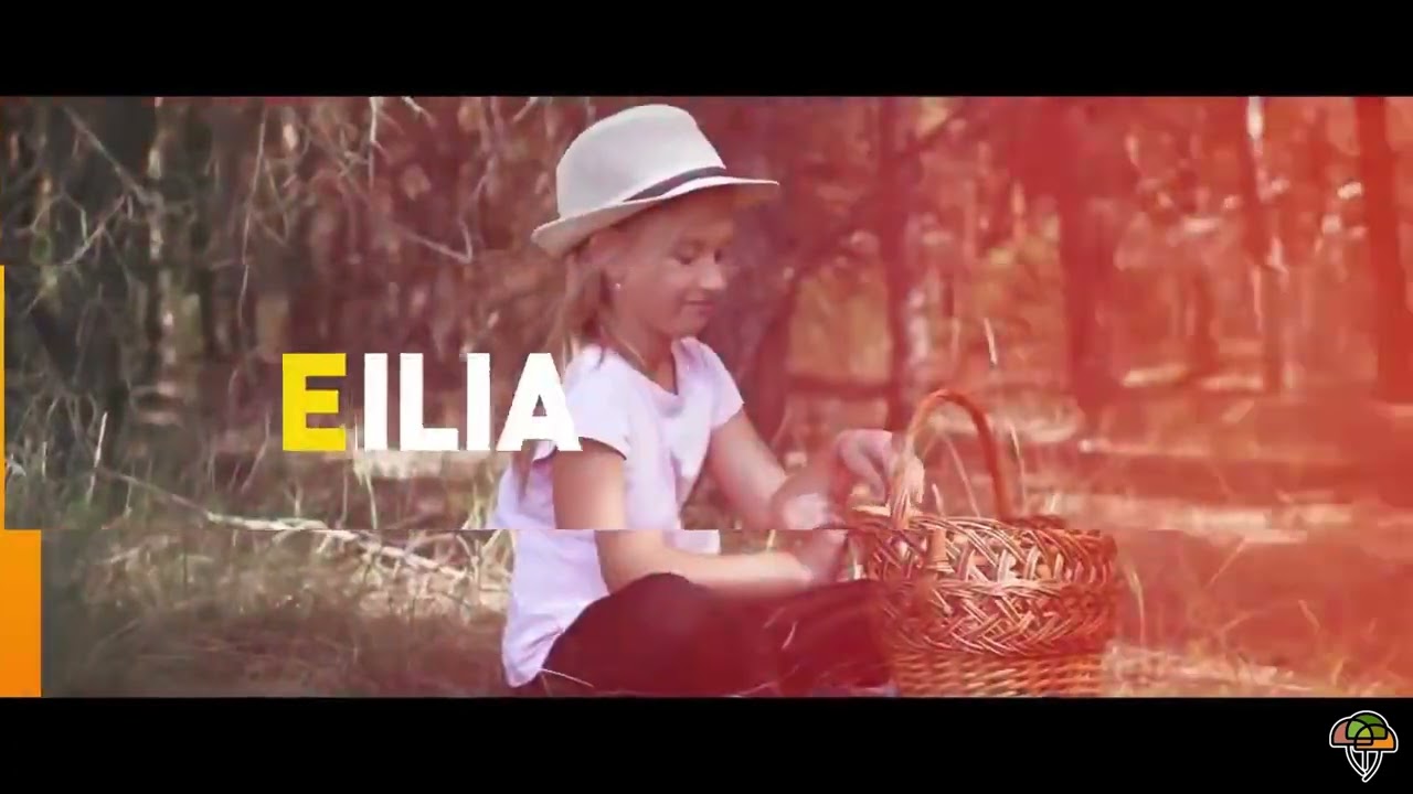 Permisos Micológicos 2025- Asociación Montes de Soria