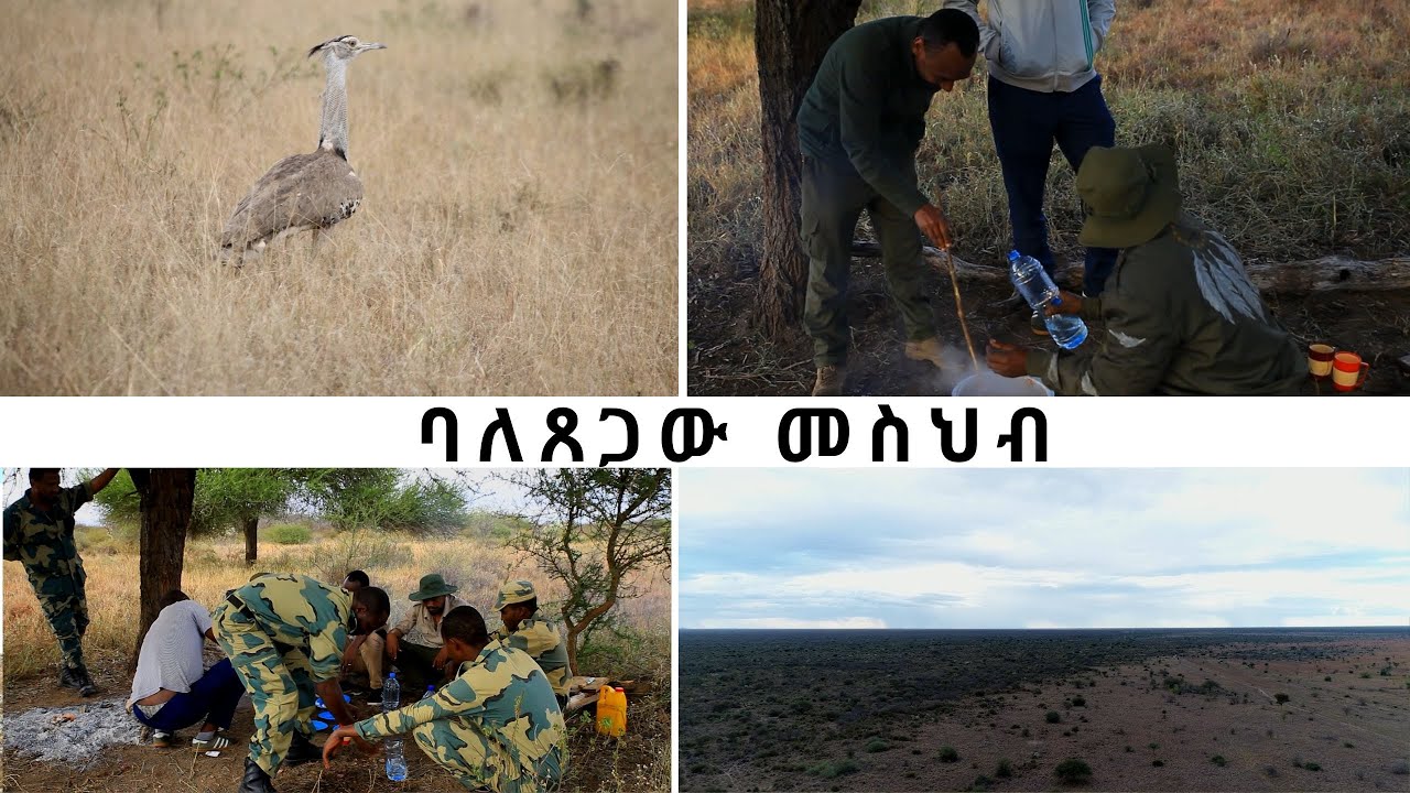 Guzo Ethiopia - የሀገራችን ድንቅ ፓርክ ገራሌ Geralle National Park  ጉዞ ኢትዮጵያ በNBC Ethiopia