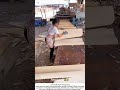 Rotary Peeling – Turning Logs into Ultra‑Thin Veneer 🔪