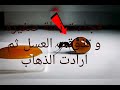 النملة التي سقطت في قطرة العسل قصة و عبرة