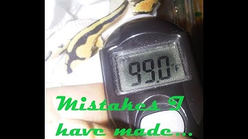 my mistakes selling ball pythons