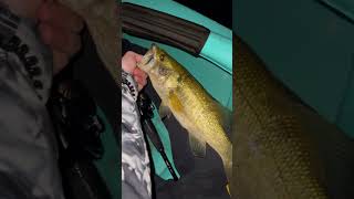 I love night fishing with a spook on the kyack. It has never failed me.
